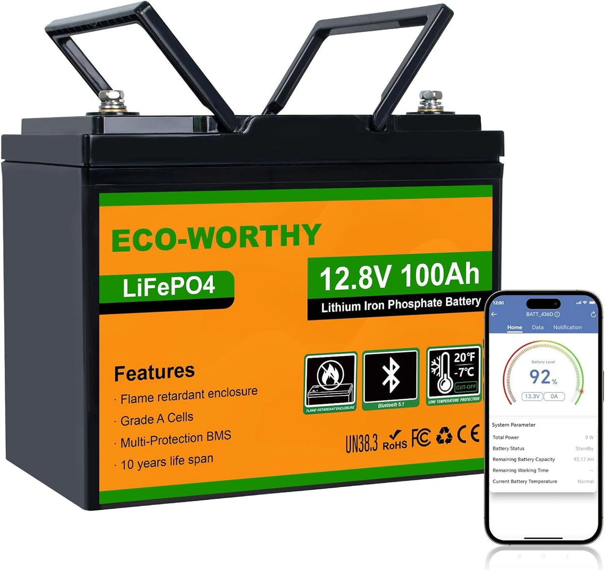 ECO-WORTHY, Appareil électrique, 12 V, Bluetooth