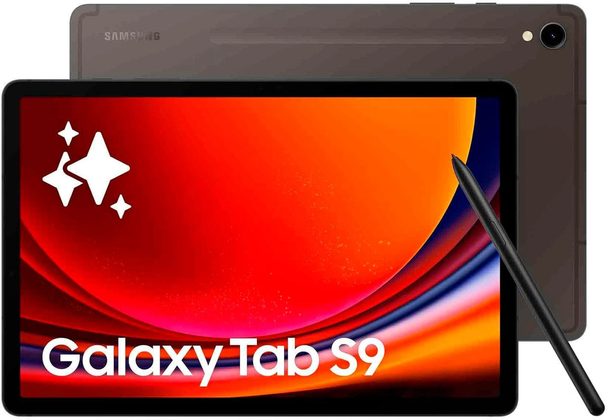 Samsung, Tablette tactile, 256Go, Wi-Fi, Gris anthracite