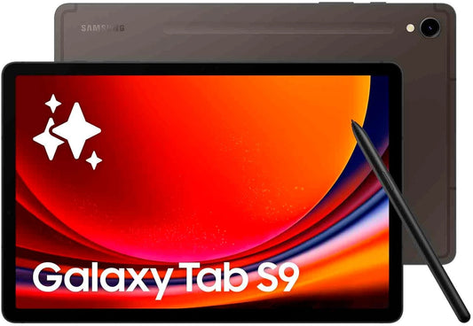 Samsung, Tablette tactile, 256Go, Wi-Fi, Gris anthracite