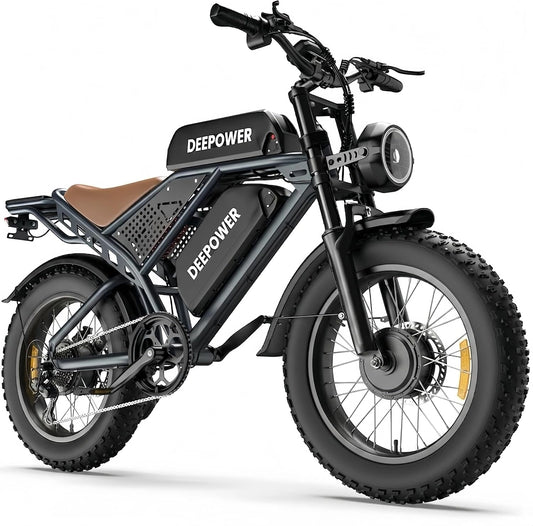 S8, Batterie, 120-250, 48 V, 20 pouces